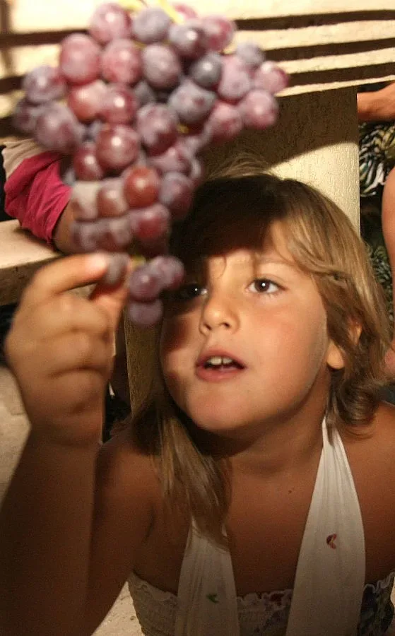 Левче за кило грозде