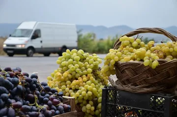 Безработни стават земеделци