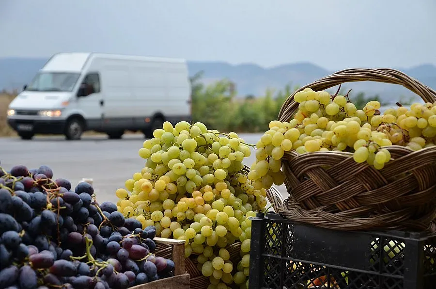 Безработни стават земеделци