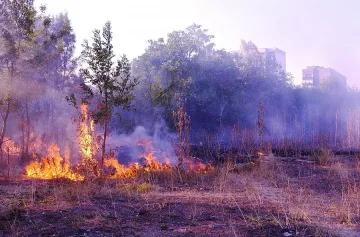 Продължава гасенето на пожара край Чепеларе