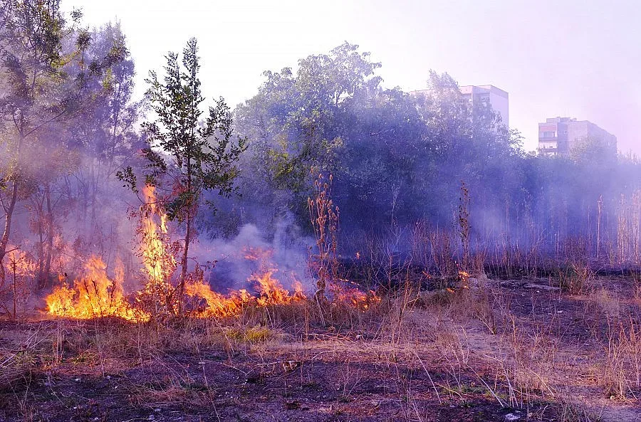 Продължава гасенето на пожара край Чепеларе