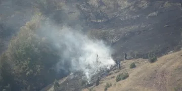 Пожар изпепели 200 дка край границата