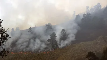 Има нужда от доброволци за пожара над Чепеларе