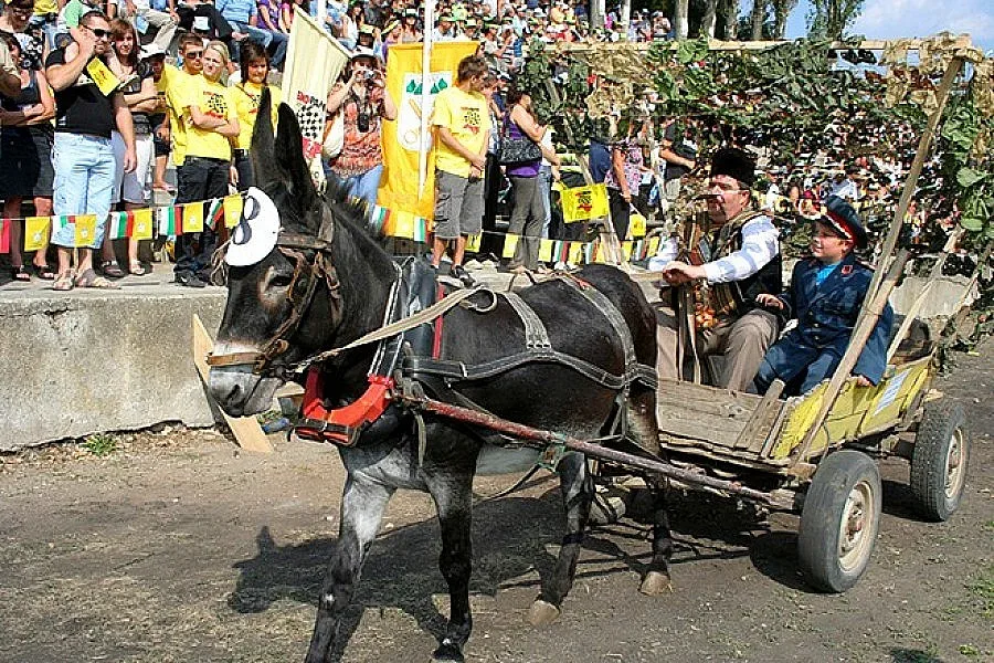 Гурковци вдигат музей на магарето