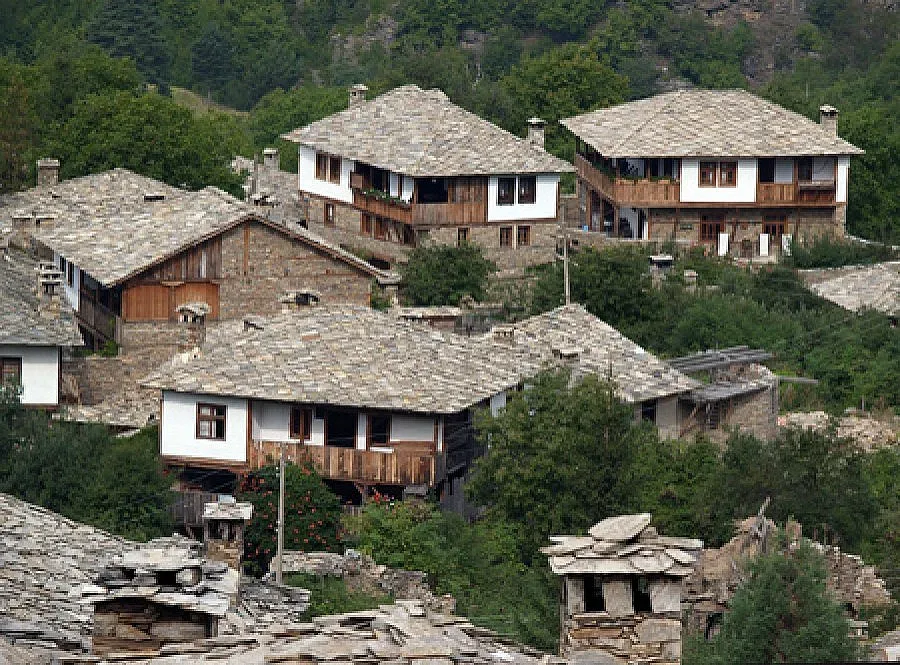 Полиция спря скандален строеж