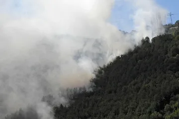 294 пожара са гасили за последните 24 часа