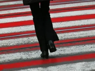 Кола счупи нос на жена на зебра