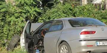 Бездомно куче предизвика катастрофа 