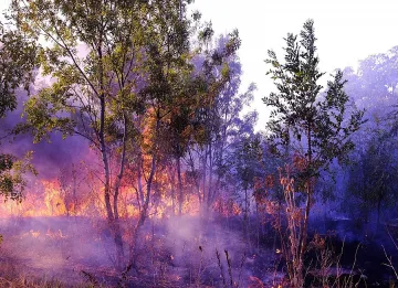 Пожарите взеха първа жертва