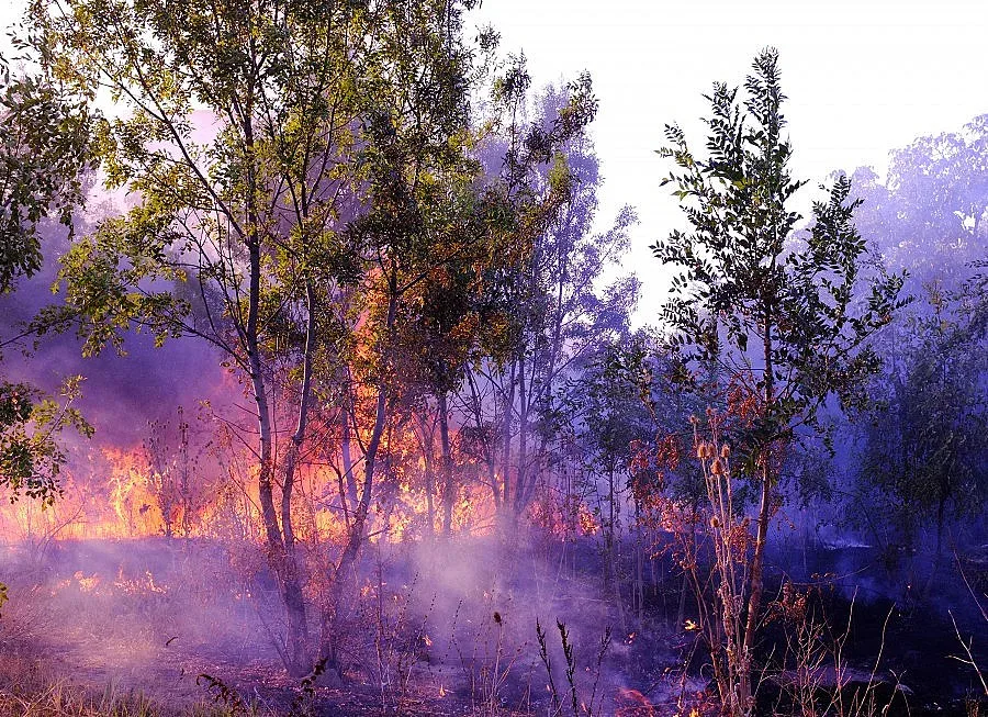 Пожарите взеха първа жертва
