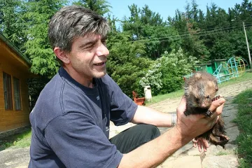 Зоопарк празнува на мечешката поляна 