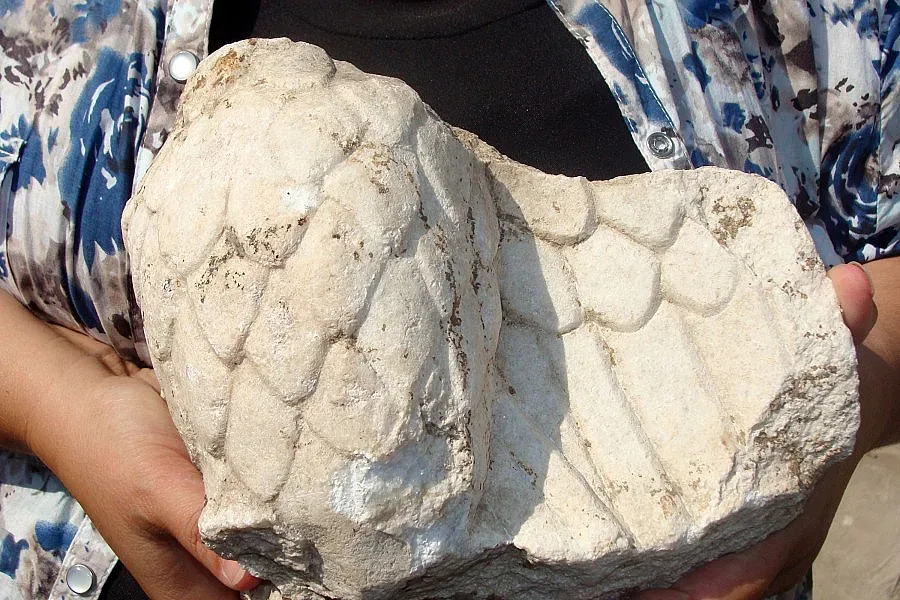 Дават 20 млн. лв. за археология   