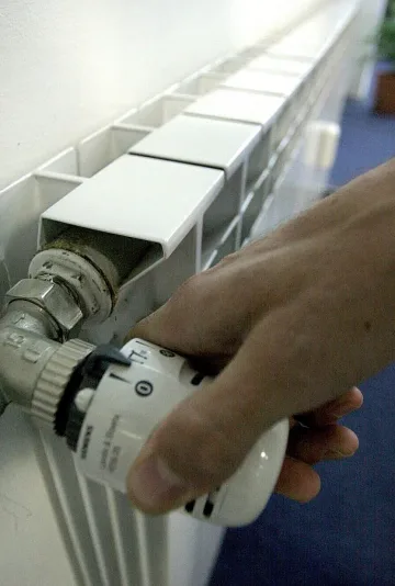 Цената на парното замръзва 