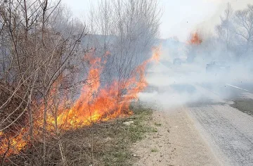 Пожар изпепели консервна фабрика