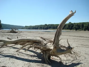 Нивото на Дунав достигна кота „нула”