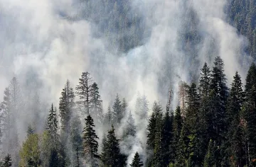 Пожарът в Рила изпепели 1600 декара