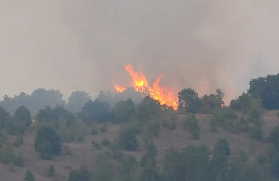 Огън на границата със Сърбия