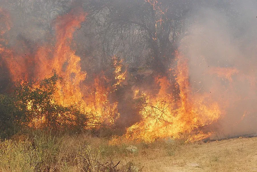 Пожарът над Рилския манастир се разраства
