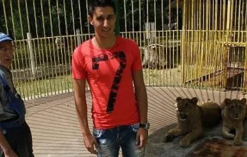 Национал влезе в клетката на лъвовете