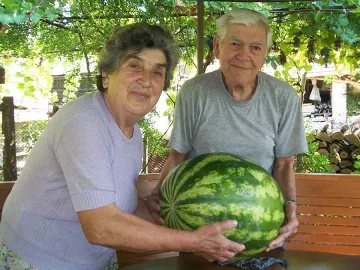 Диня гигант отгледаха пенсионери