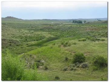 Европари от бурени