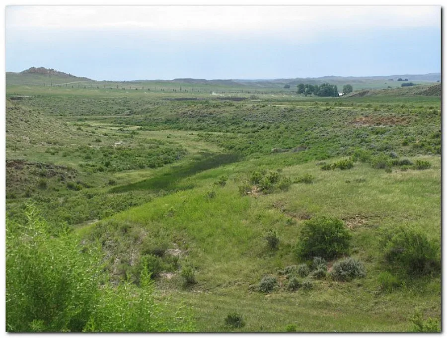 Европари от бурени