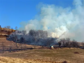 Пожари пощуриха монтанските огнеборци