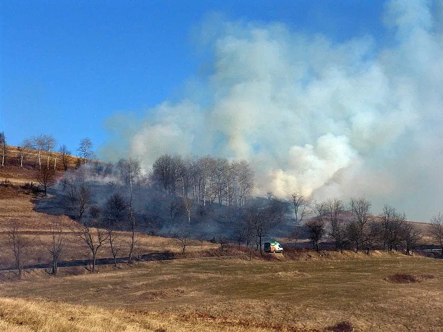 Пожари пощуриха монтанските огнеборци