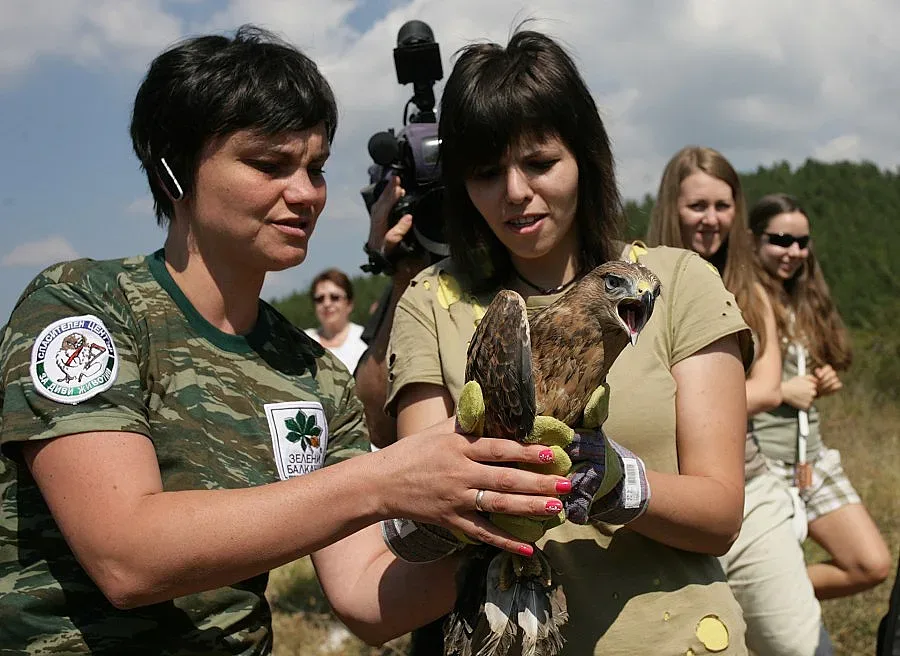 Сложиха GPS на бухал
