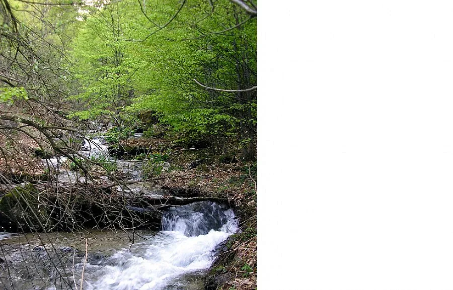 Пазят да не пламне резерватът в Чупрене