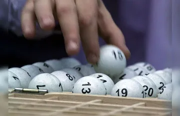 Числата и печалбите от Тотото