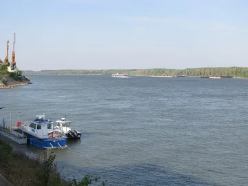 Круиз със 100 туристи заседна край Свищов 
