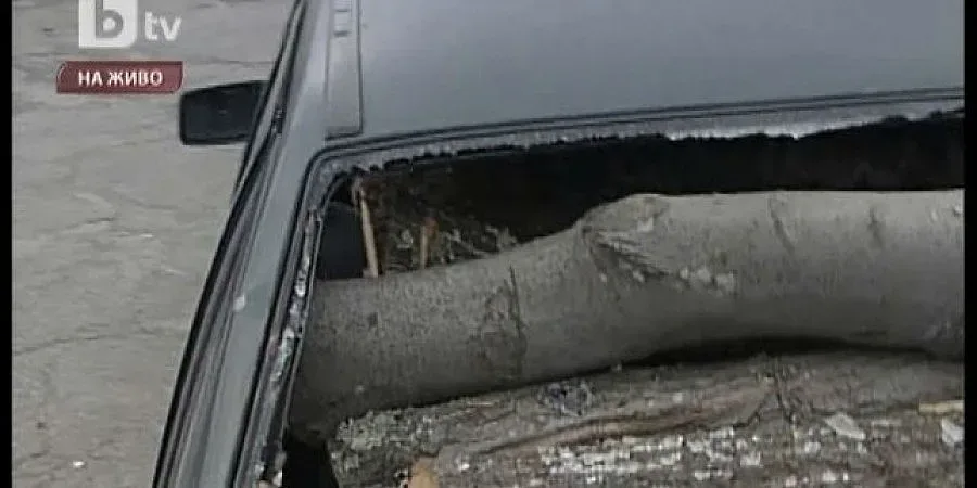 Пребиха с камъни горски