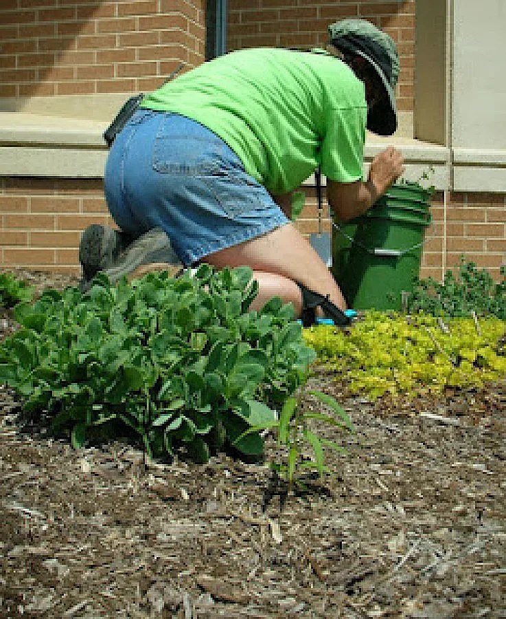 Дават работа на 200 души по селата