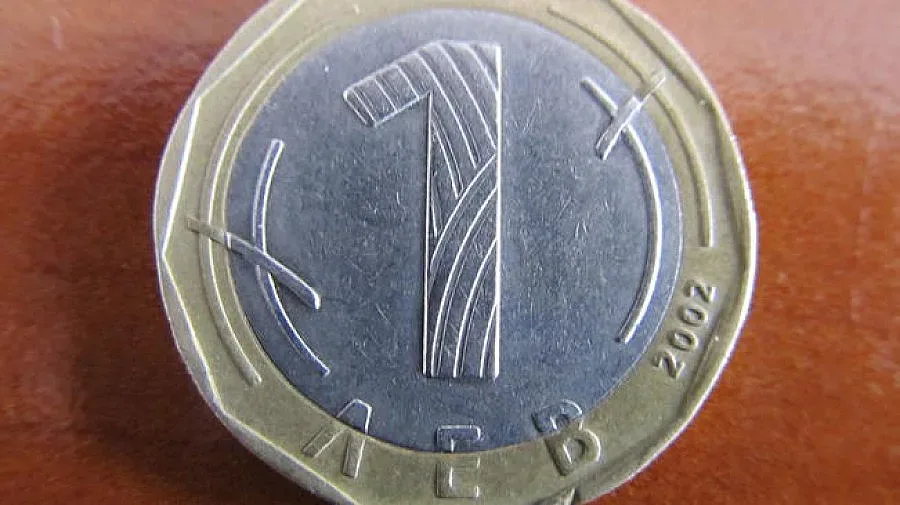 Баба иска да бори кризата с Дянков