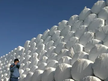 Румънци пращат боклука си през Дунав