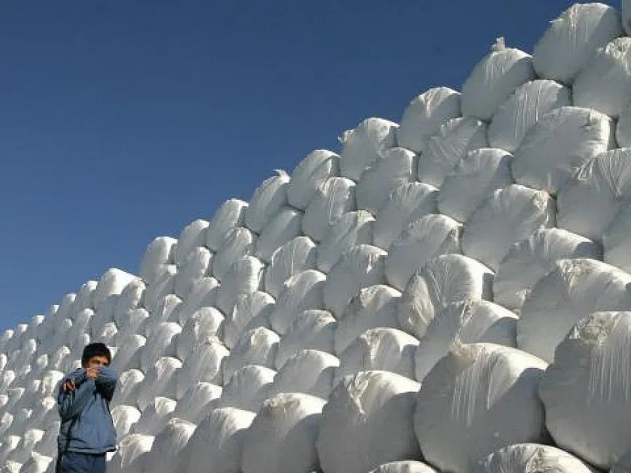 Румънци пращат боклука си през Дунав