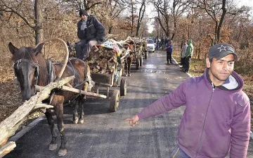 Кмет забрани да се гледа повече от едно говедо