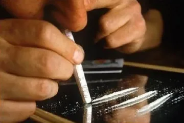 Европа шмърка 360 кг кока само за ден