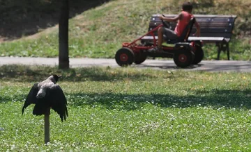 Ремонтират забавачки за над 2 млн. лева