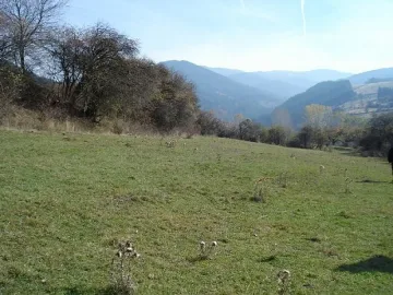 Апаши разкостват поделението в Саранци