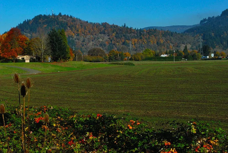 Самолети паднаха в Германия и Сърбия