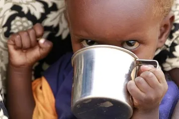 Един на всеки седем в света гладува