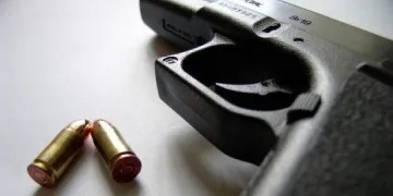 Куриерски фирми приемат пратки с оръжие