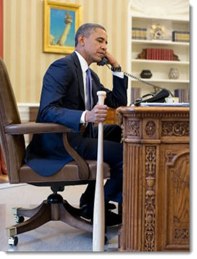 Гняв в Турция заради Обама с бухалка