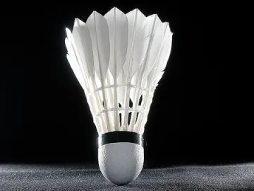 91 692 лв. е взела Неделчева от януари