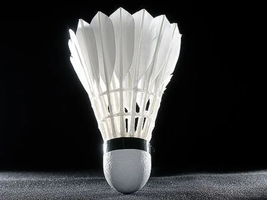 91 692 лв. е взела Неделчева от януари