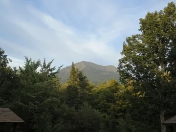 Безработни ще водят туристи в гората