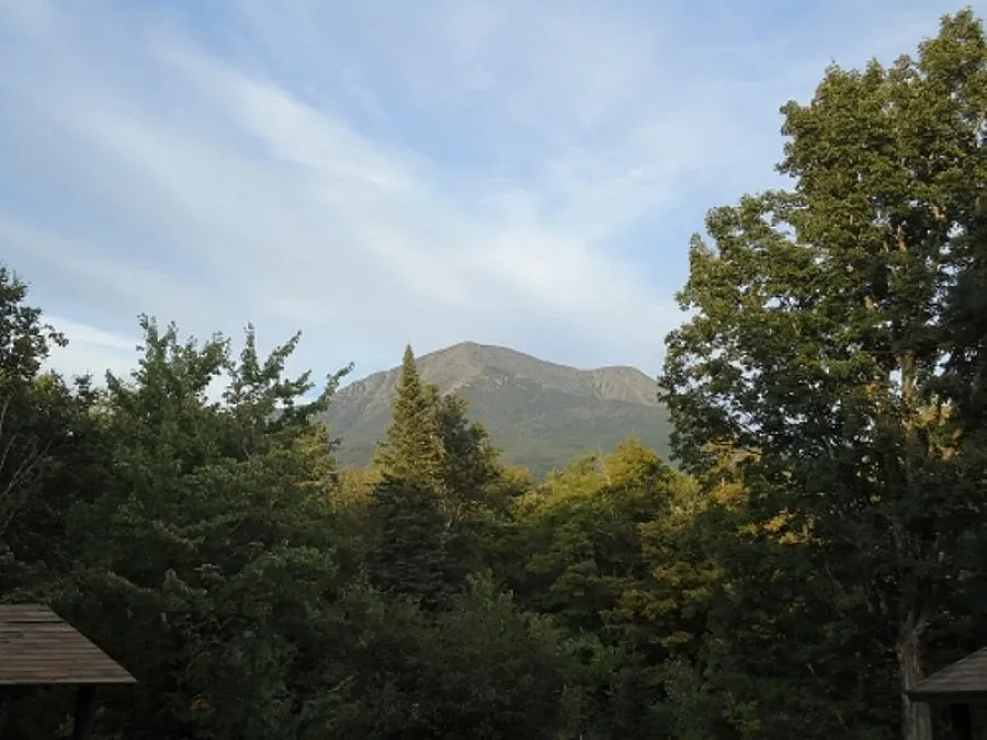 Безработни ще водят туристи в гората