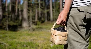 Шведите освободиха заподозрян за трафик на хора българин